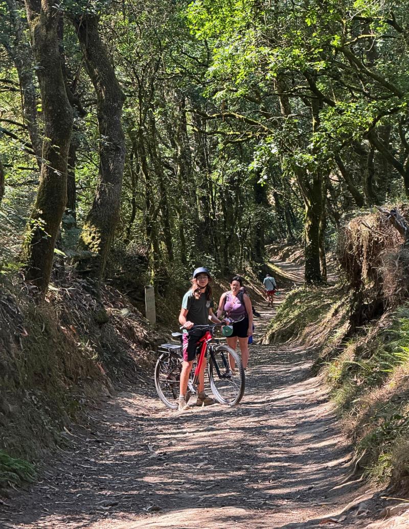 Walking the Camino for PiLA