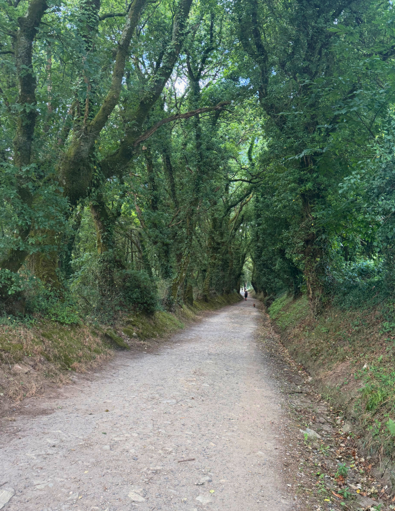 Walking the Camino for PiLA