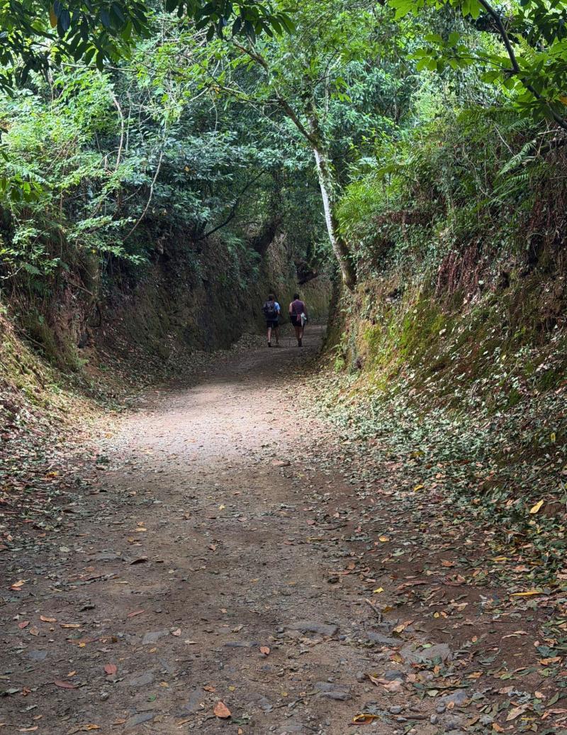 Walking the Camino for PiLA
