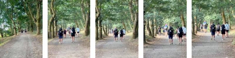 Walking the Camino for PiLA