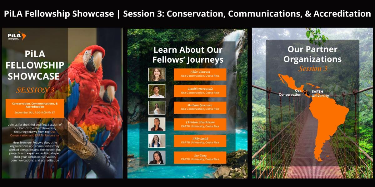 PiLA Fellowship Showcase